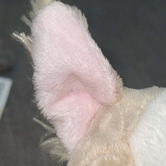 LIL’Kinz WEBKINZ Ganz CHIHUAHUA HS104 hang & butTag NoCode plush stuffed animal - Picture 8 of 8